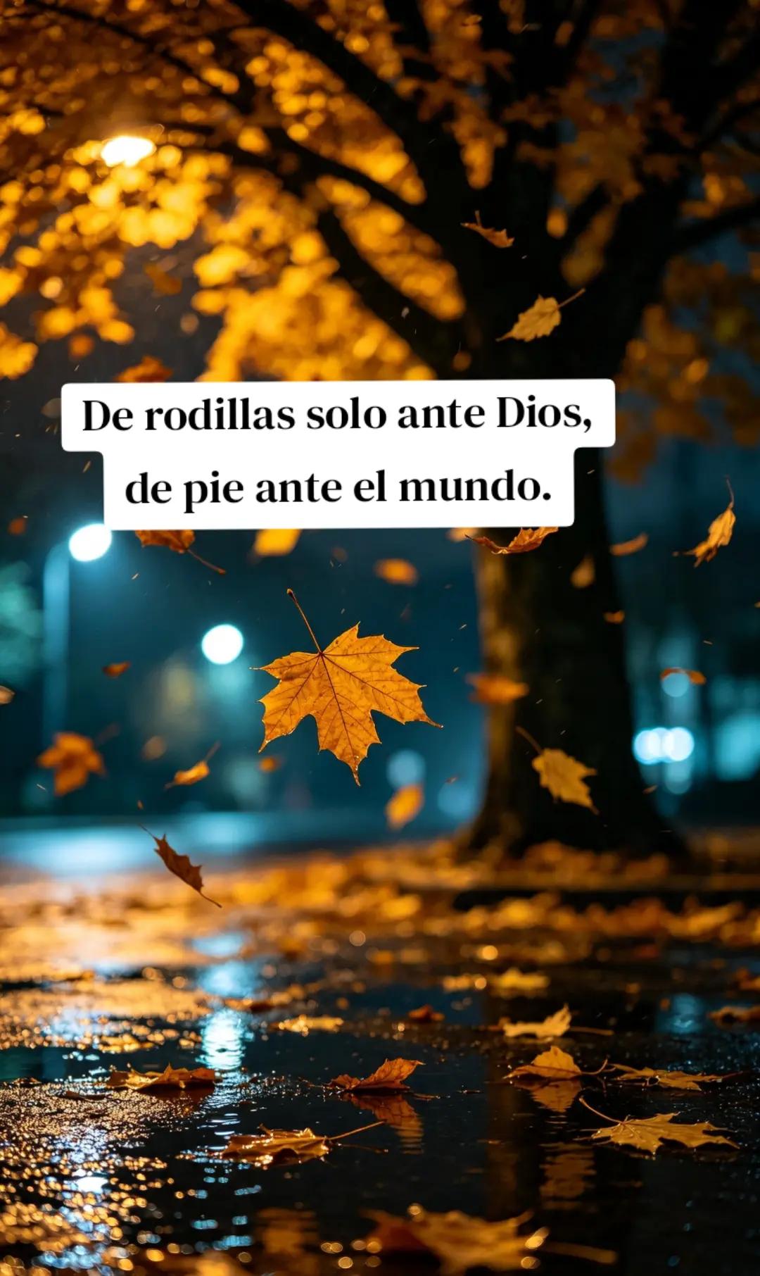 @Jose Antonio