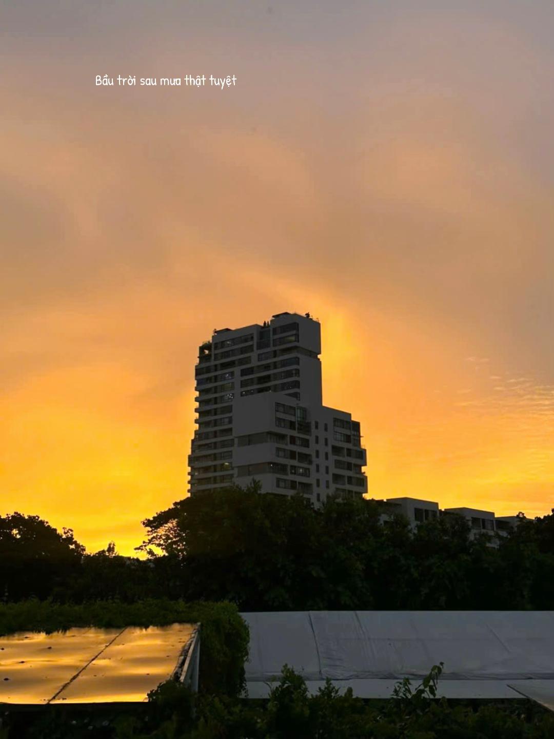 @NhatHoangDaSo💫