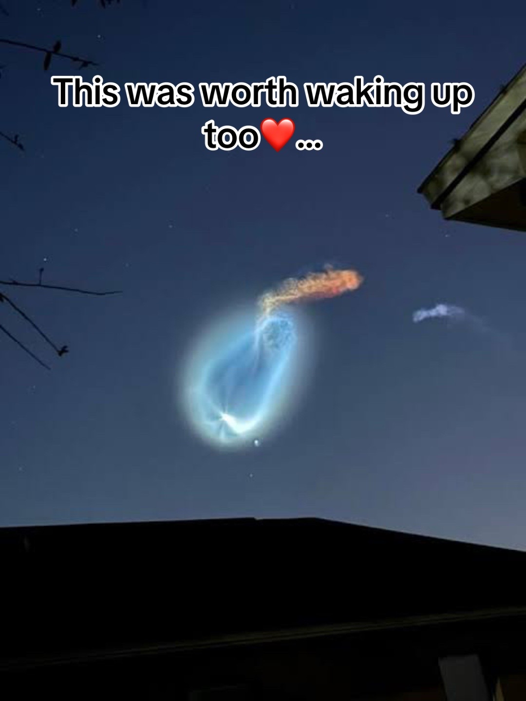 @️ ✯TJ✯