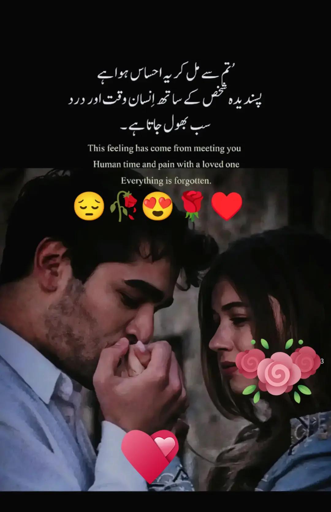 @Hassan Hussain💞