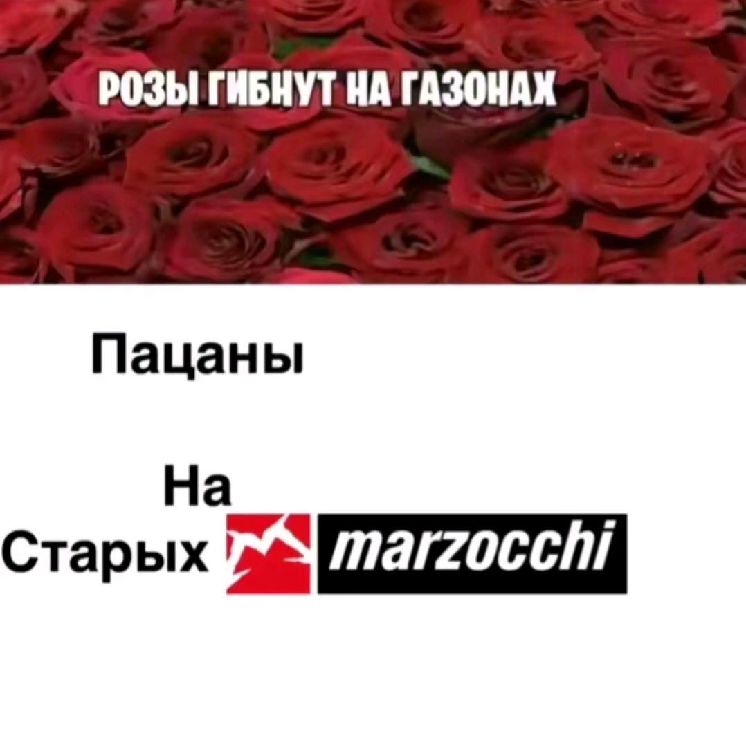 @gazbend