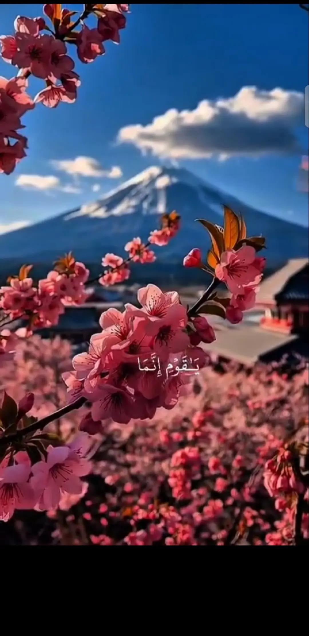 @💞⧣̶⃪⃪دفى ال⿻قلب ོ🪐💞