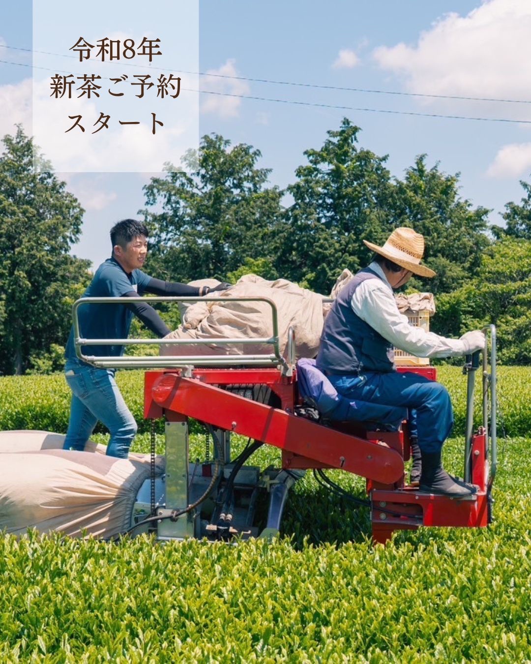 @森木農園