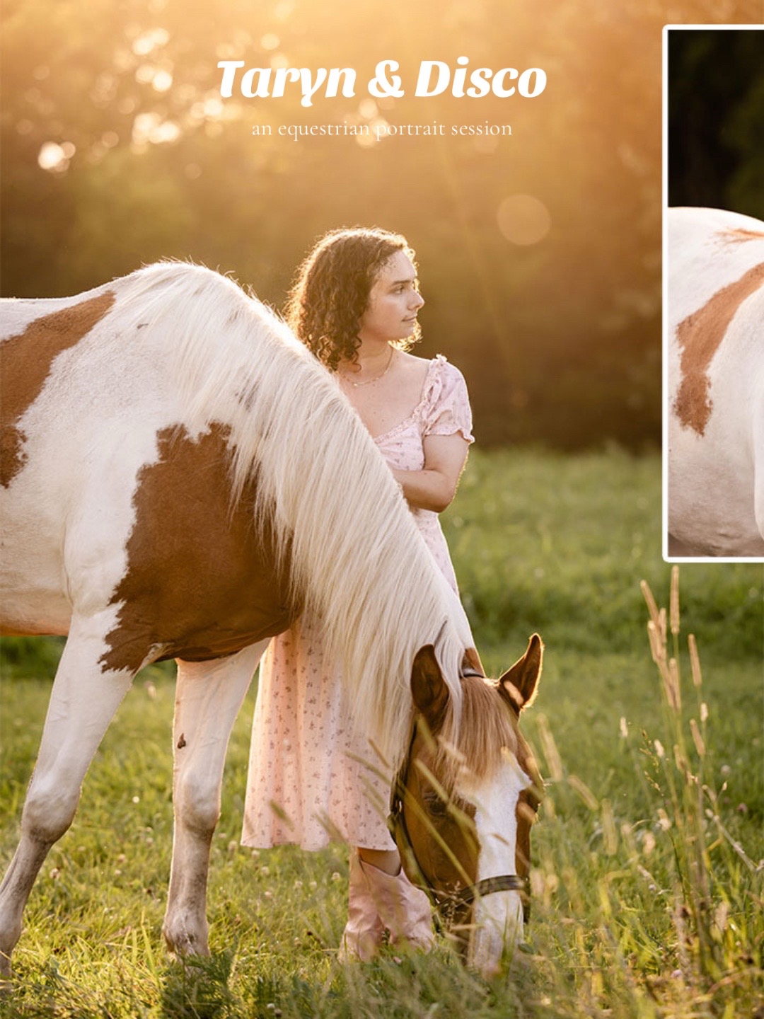 @Tisha 📸🦄 Equestrian Photog