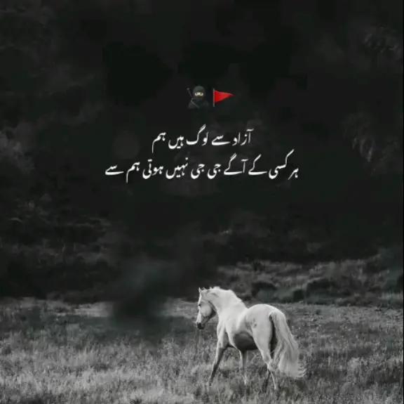 @بلا کھوکھر دیپالپور آلہ🥂🖤