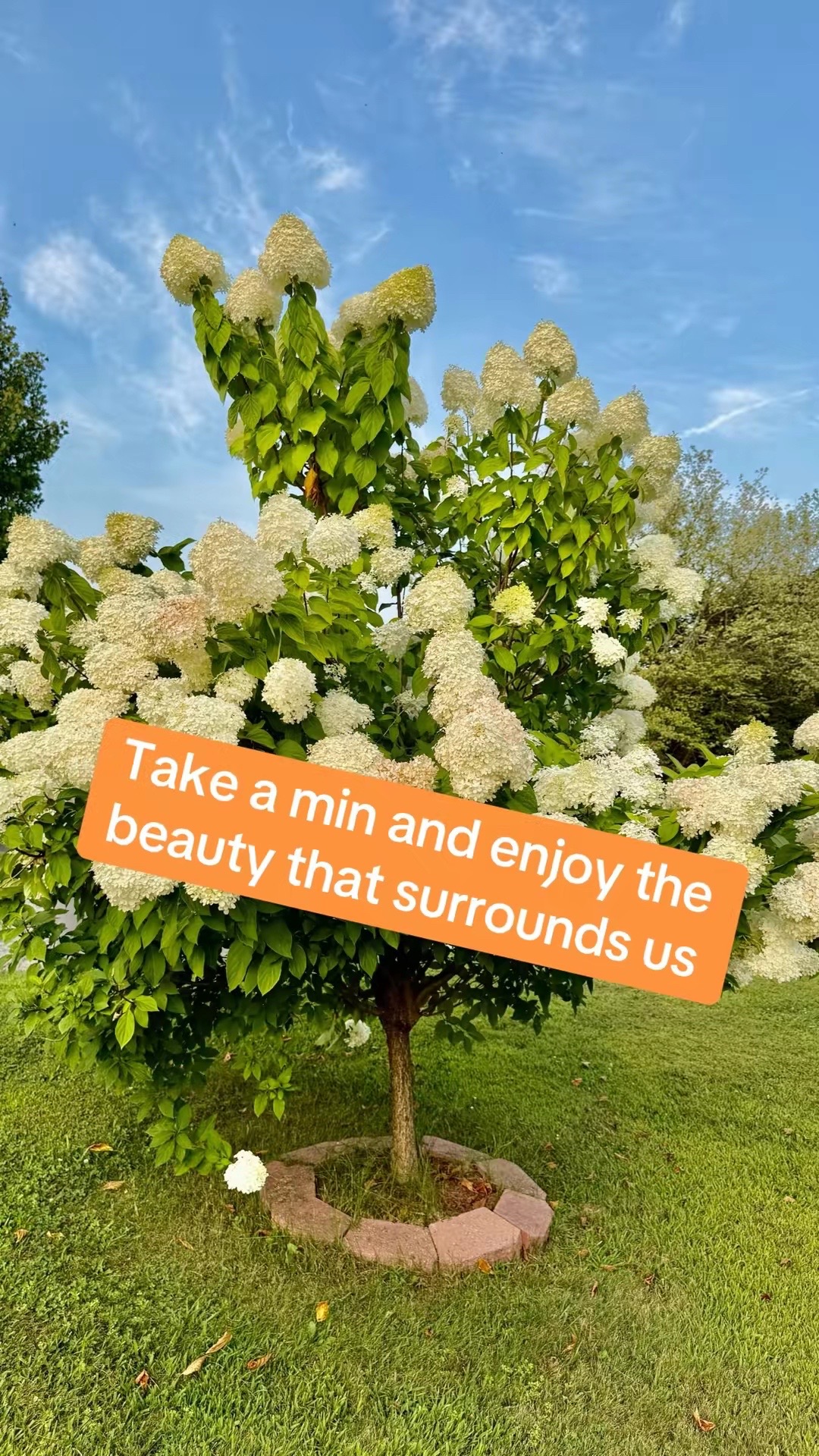 @Devika0975