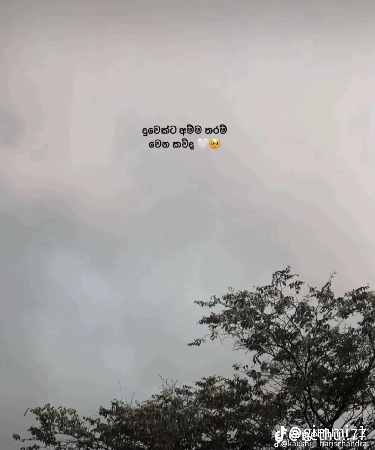 @انسار🪐