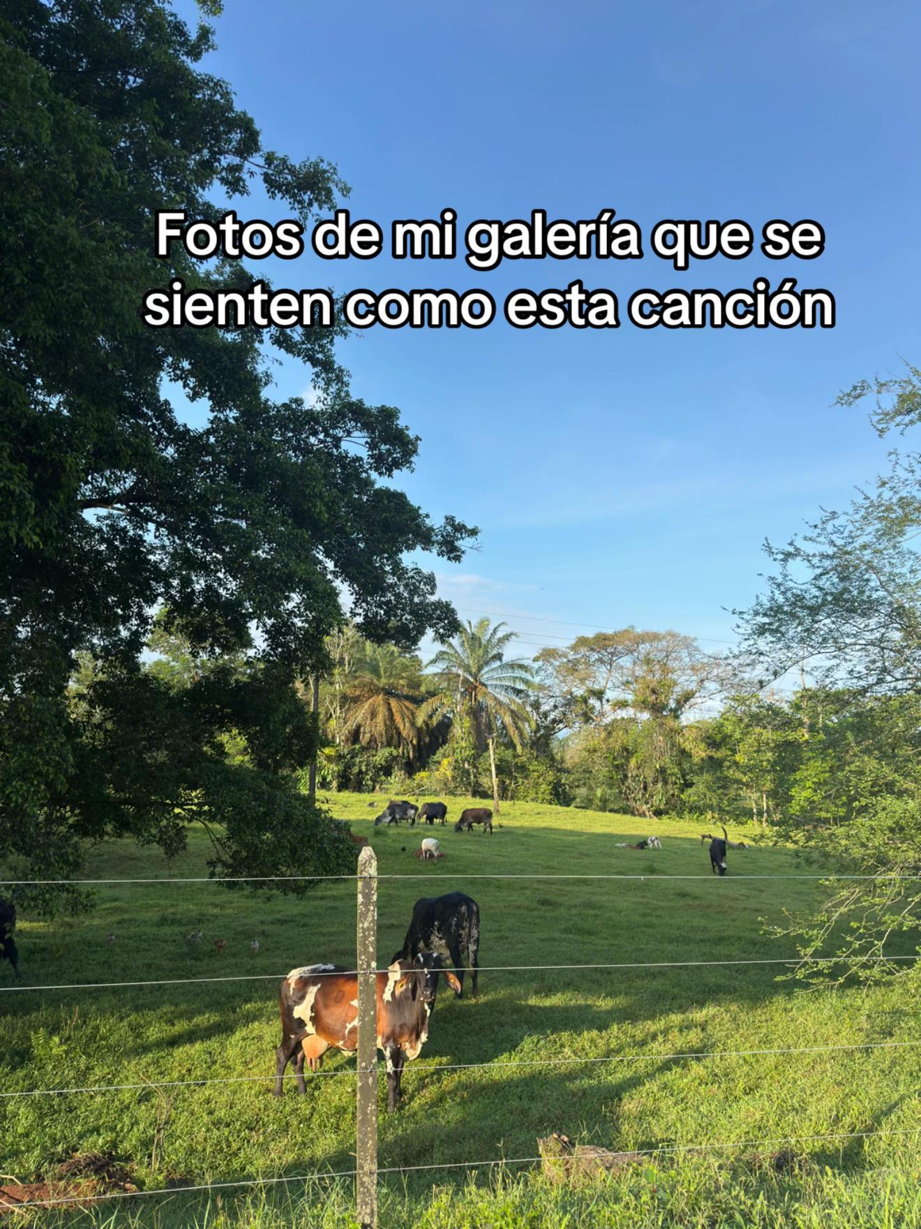 @Liliana Velásquez531