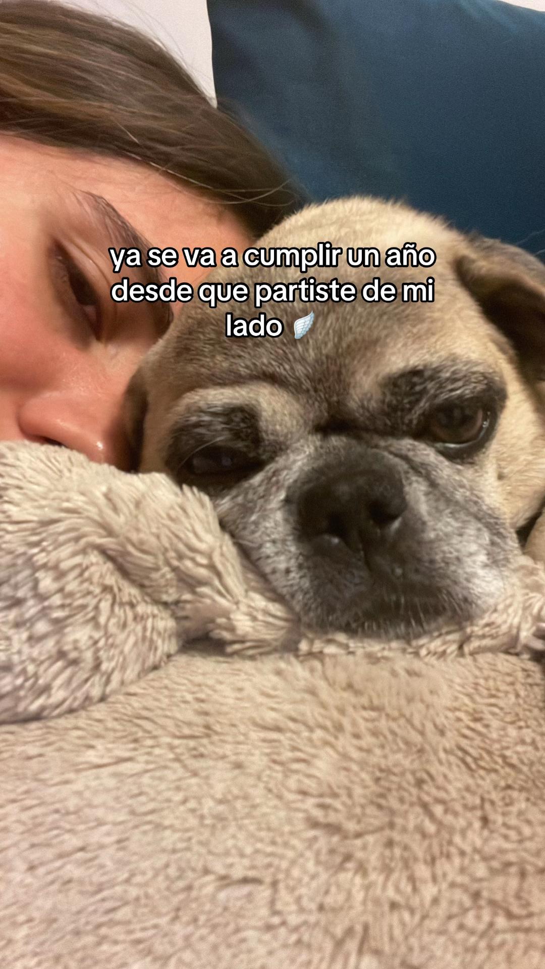 @Piemasgrande