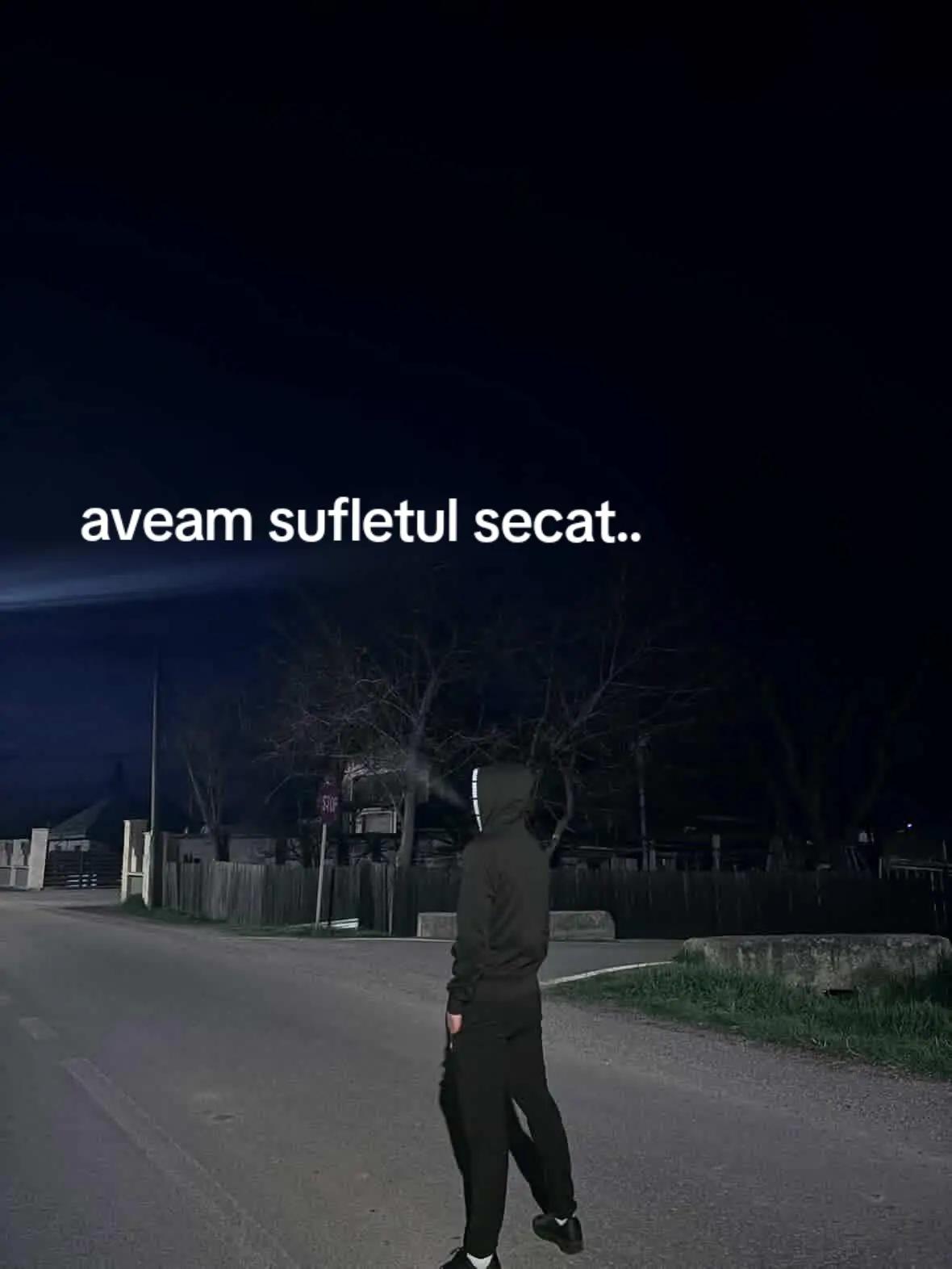 @se_by8