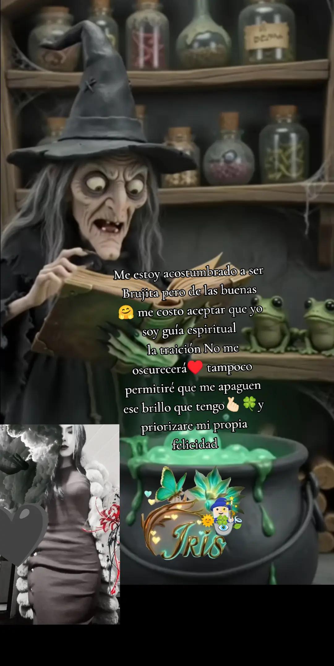 @๐ชฌ๐ IRIS.oficial๐๐๐๐ง๐ปโ๏ธ