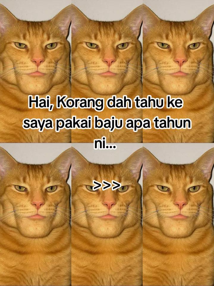 @HykalSazer01