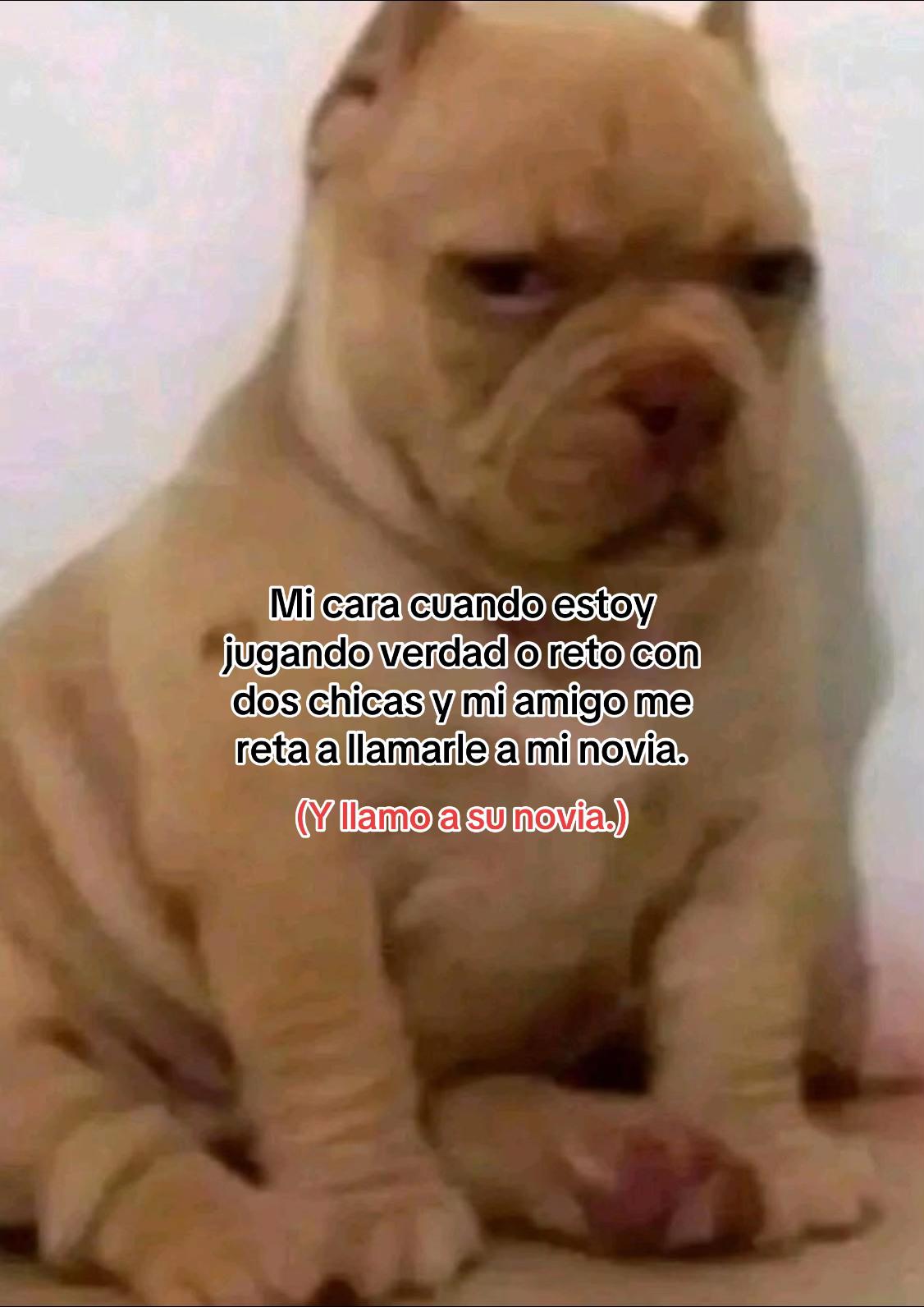 @Oso1819