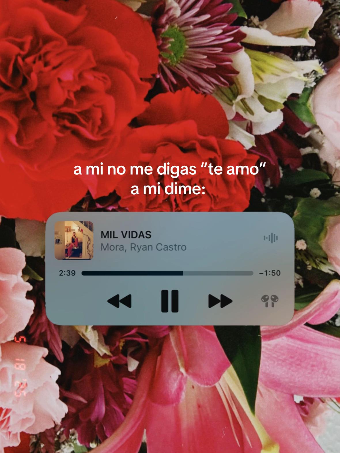 @gigi