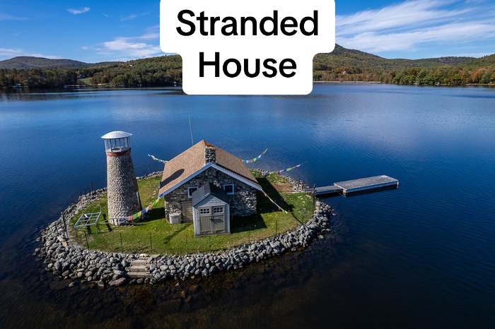 @Zany.Zillow