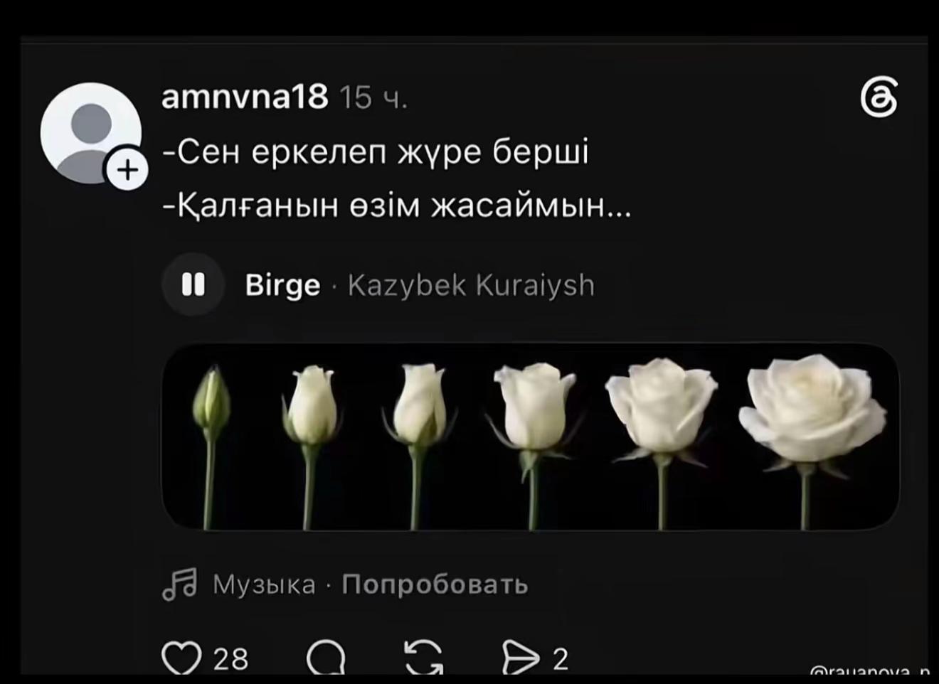 @dosjanovna