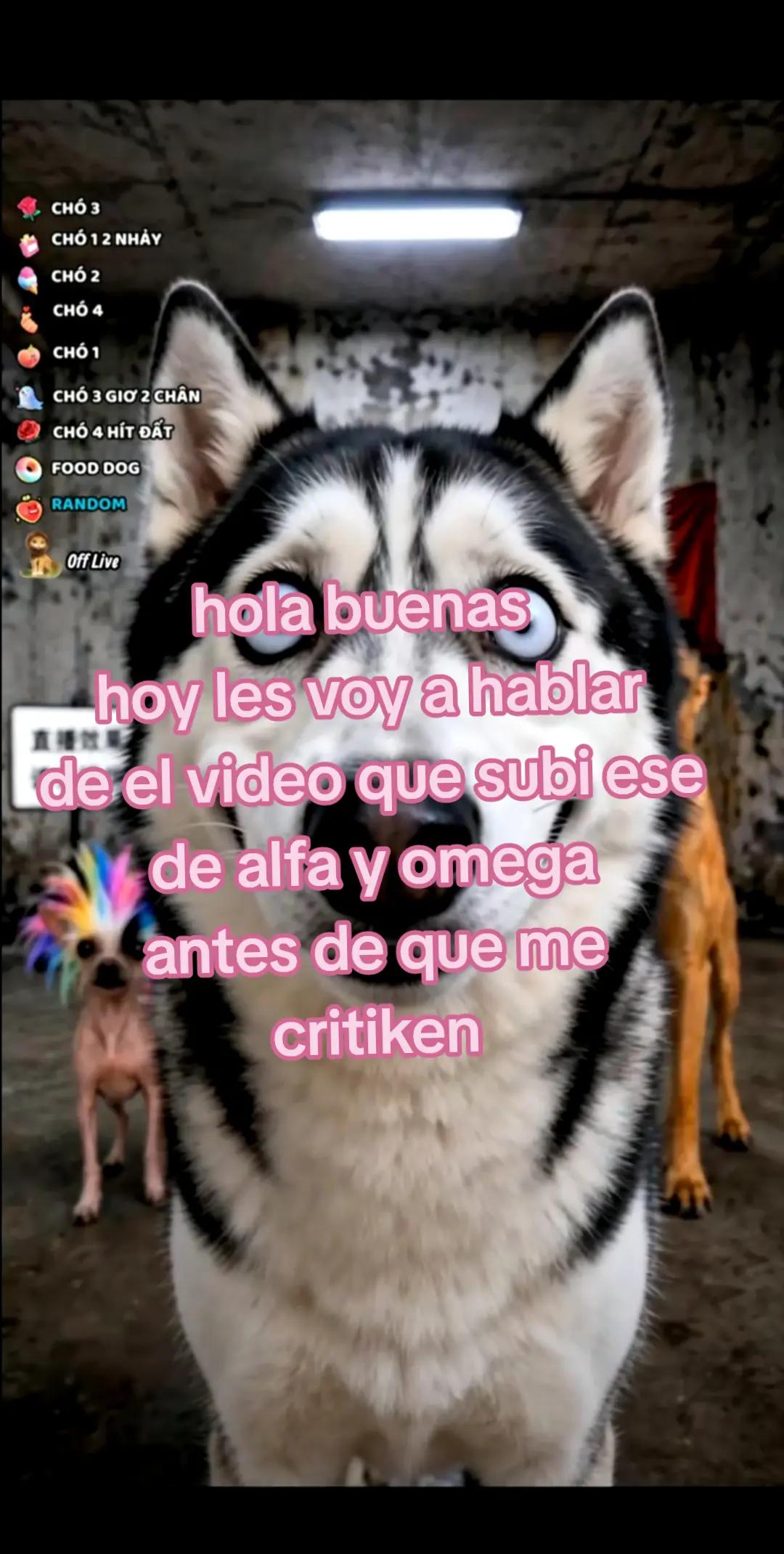 @tú_michi_1