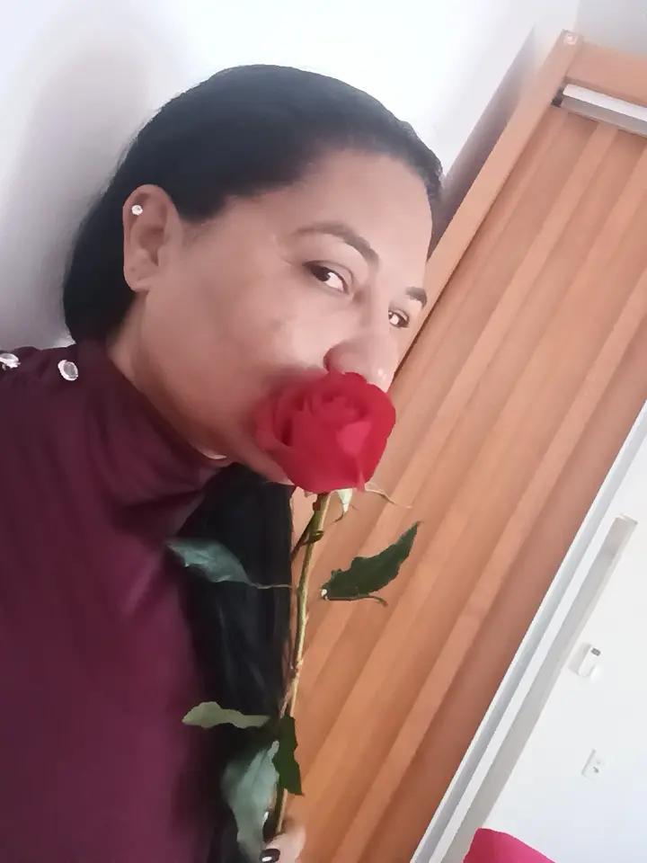 @Meire Souza537