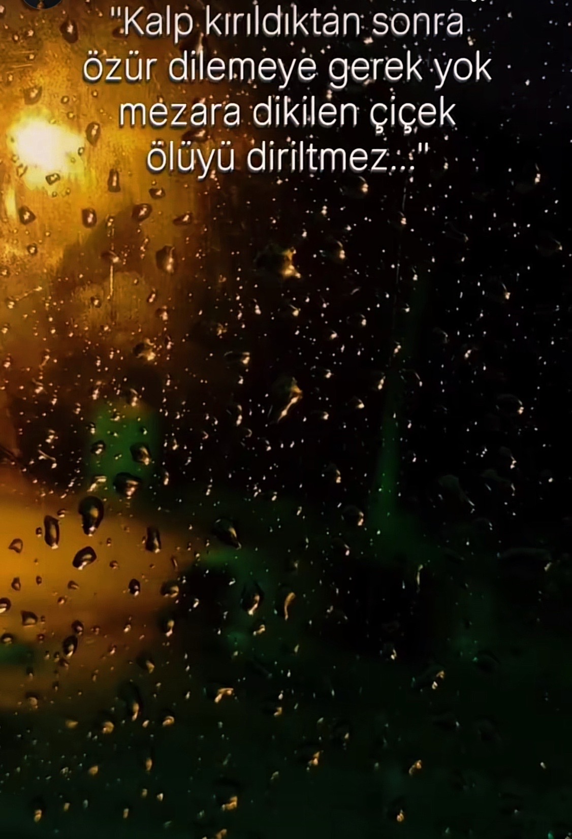 @ZERDALi