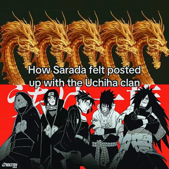 @Zhuo Fan