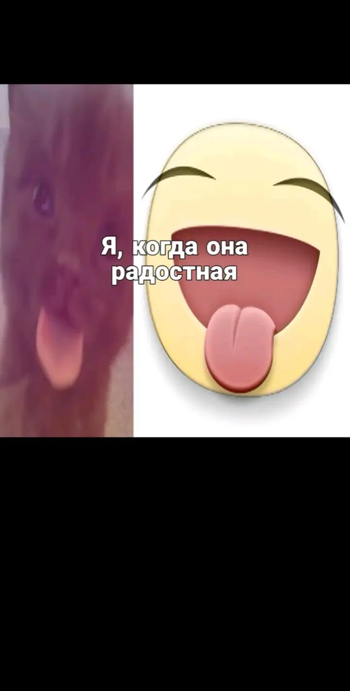 @тгк:Artemchik69 <3