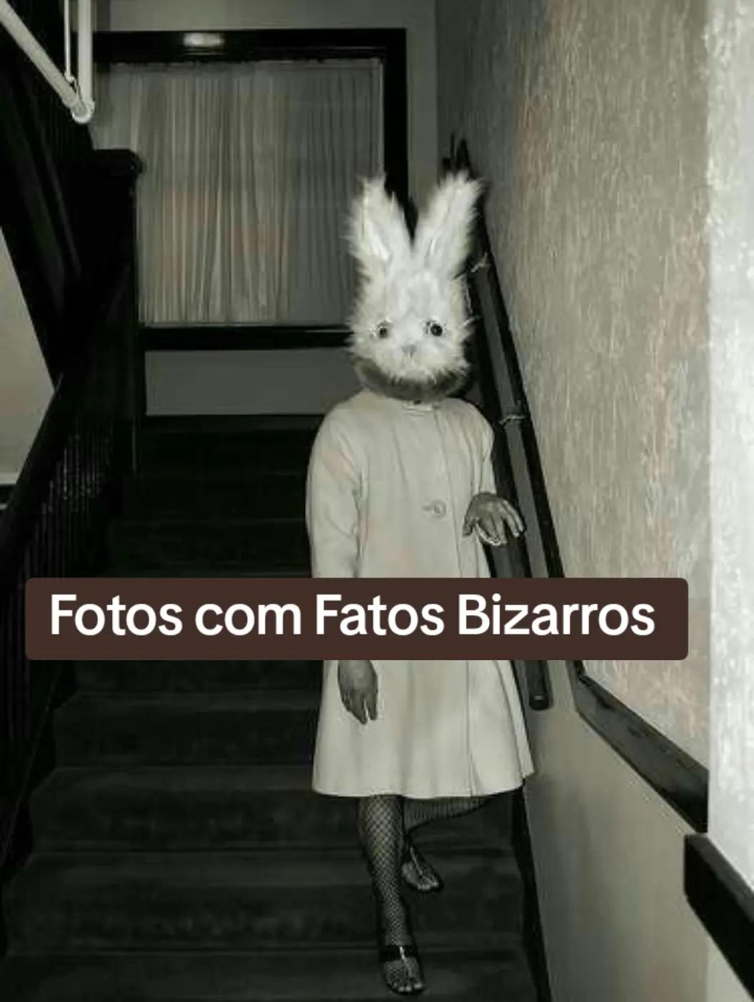 @Leeh Uchoas 🔍