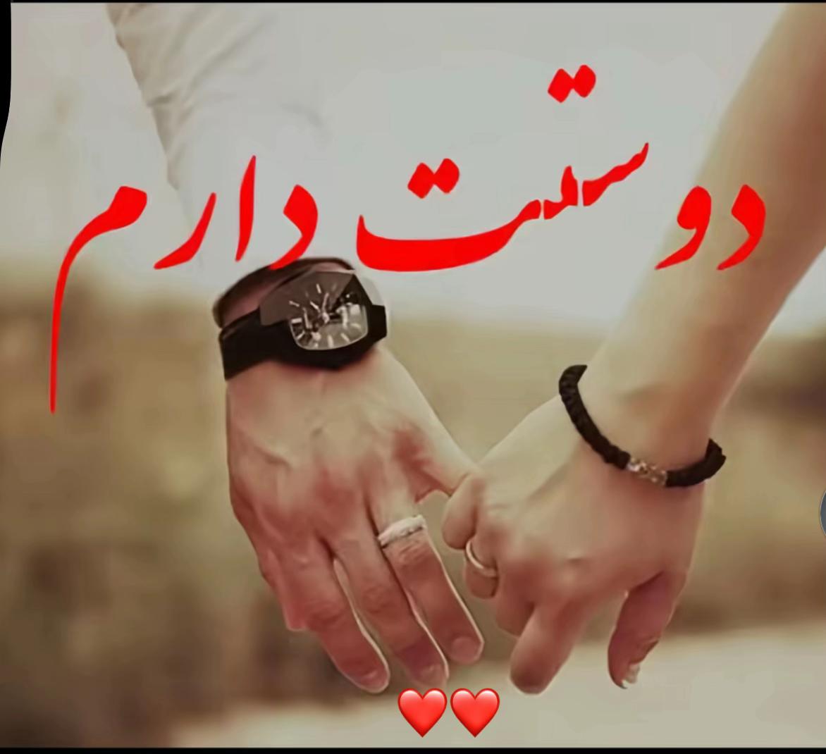 @Shafiqa Ayoubi 🇺🇸❤️🇦🇫