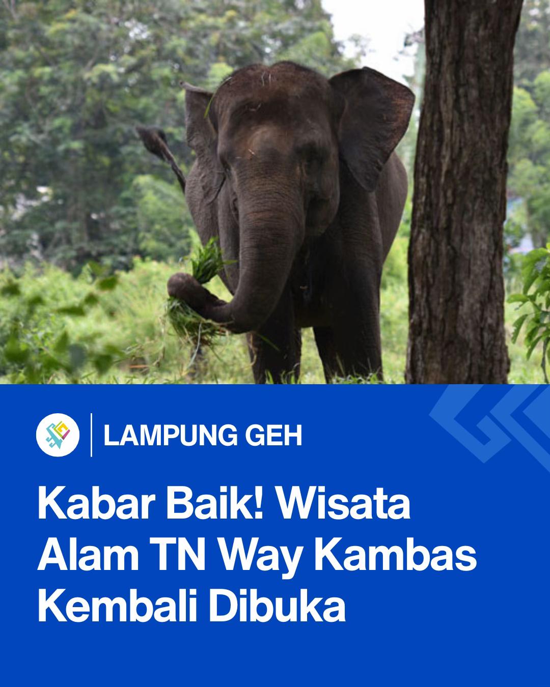 @Lampung Geh!