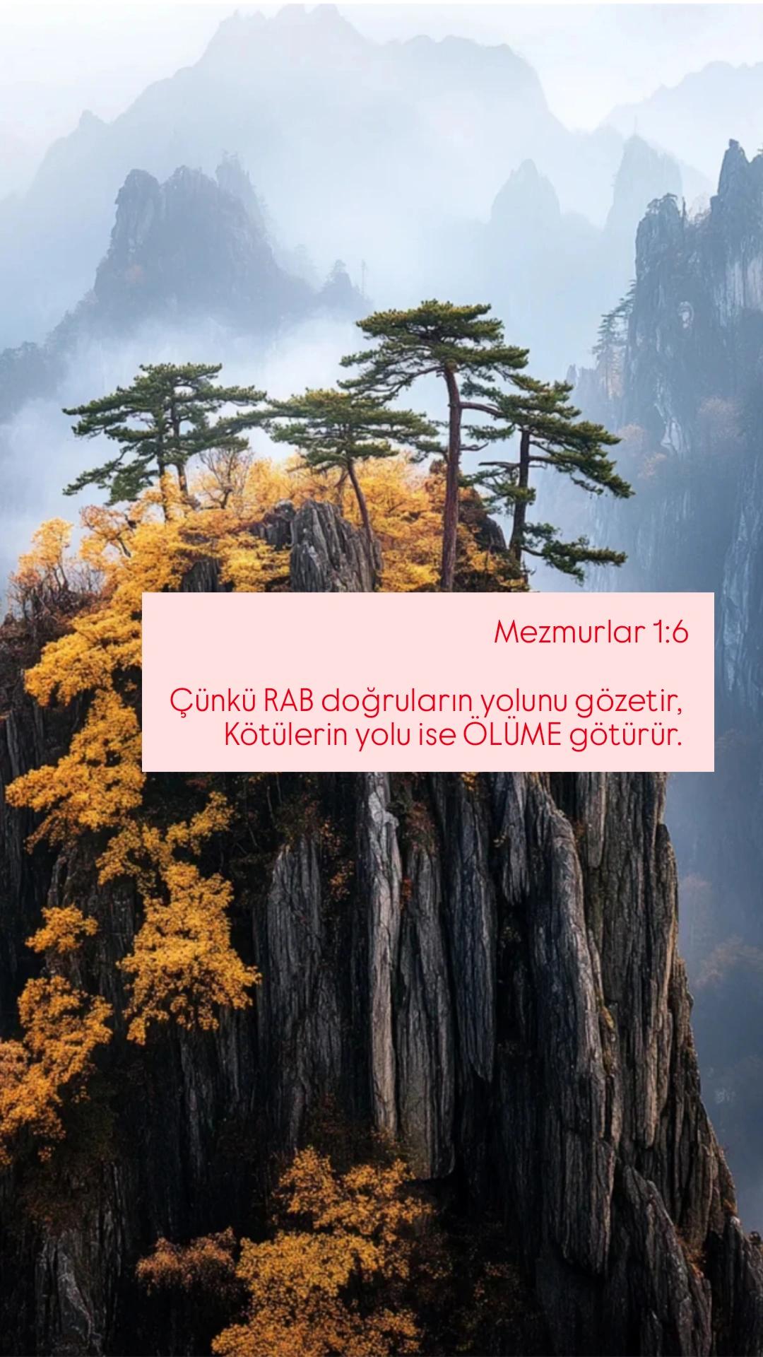 @Mehmet BELLİ