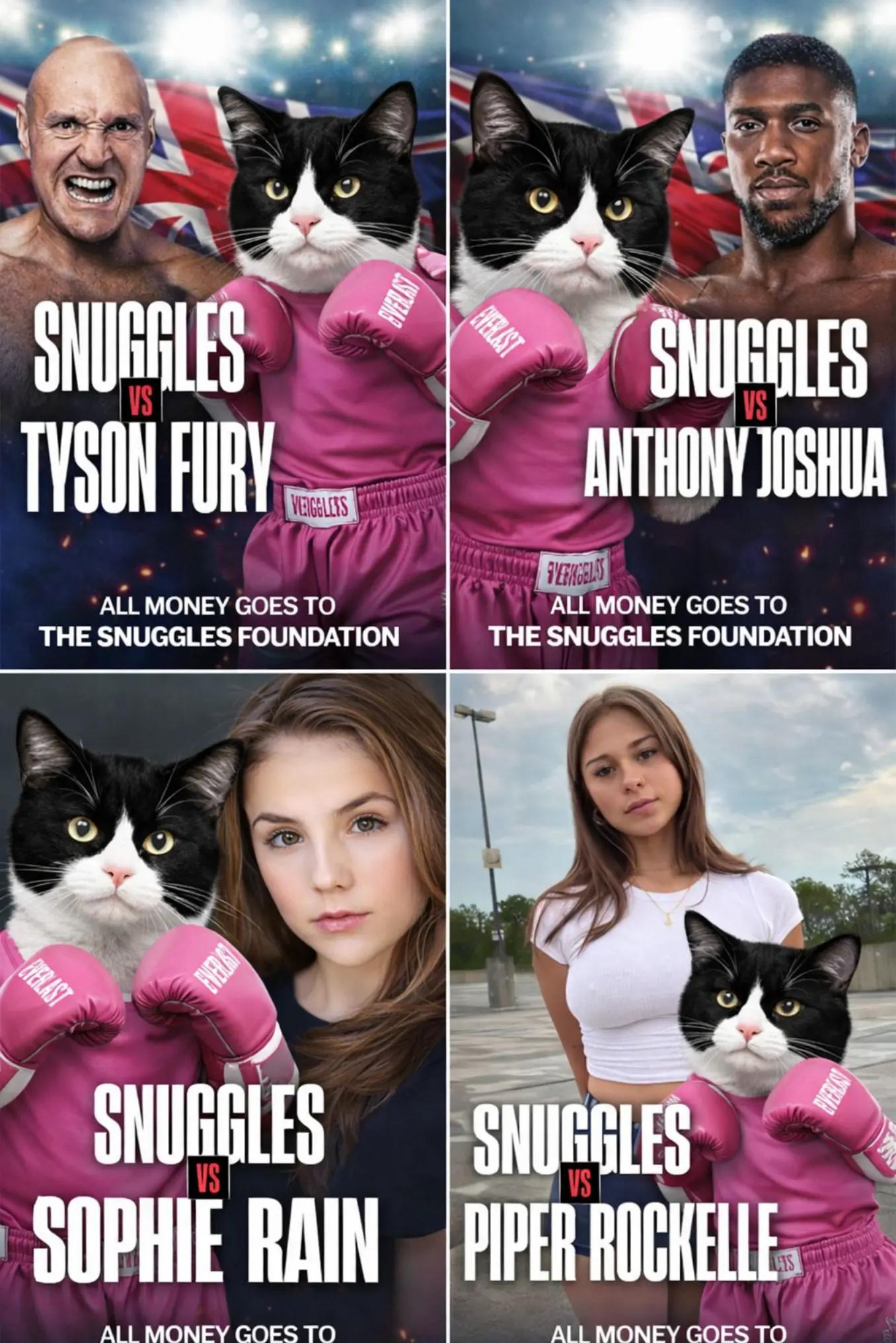 @Snuggles The Cat