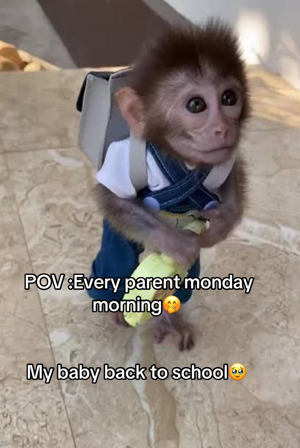 @Anjali sahadeo