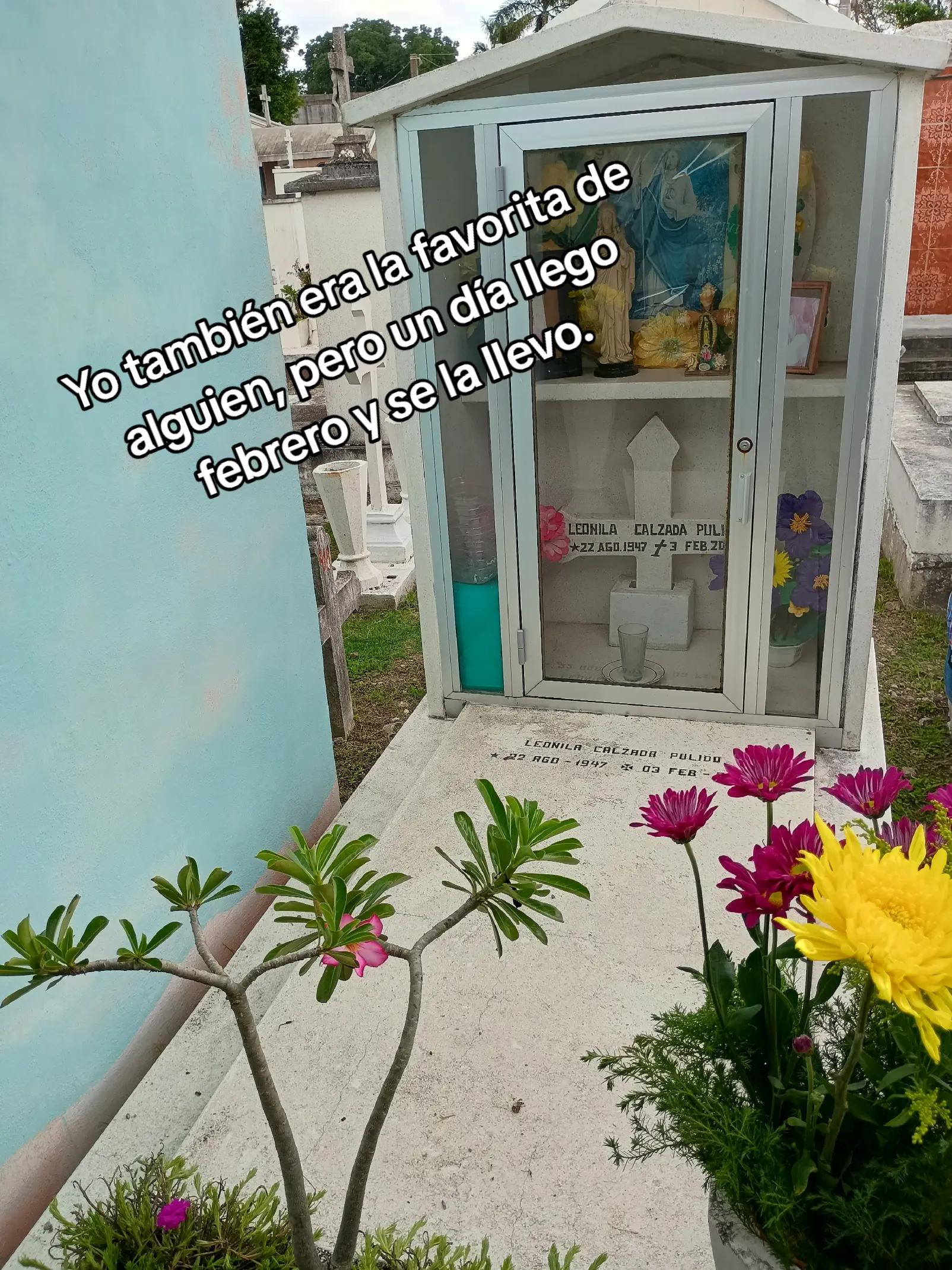 @Arc_avo