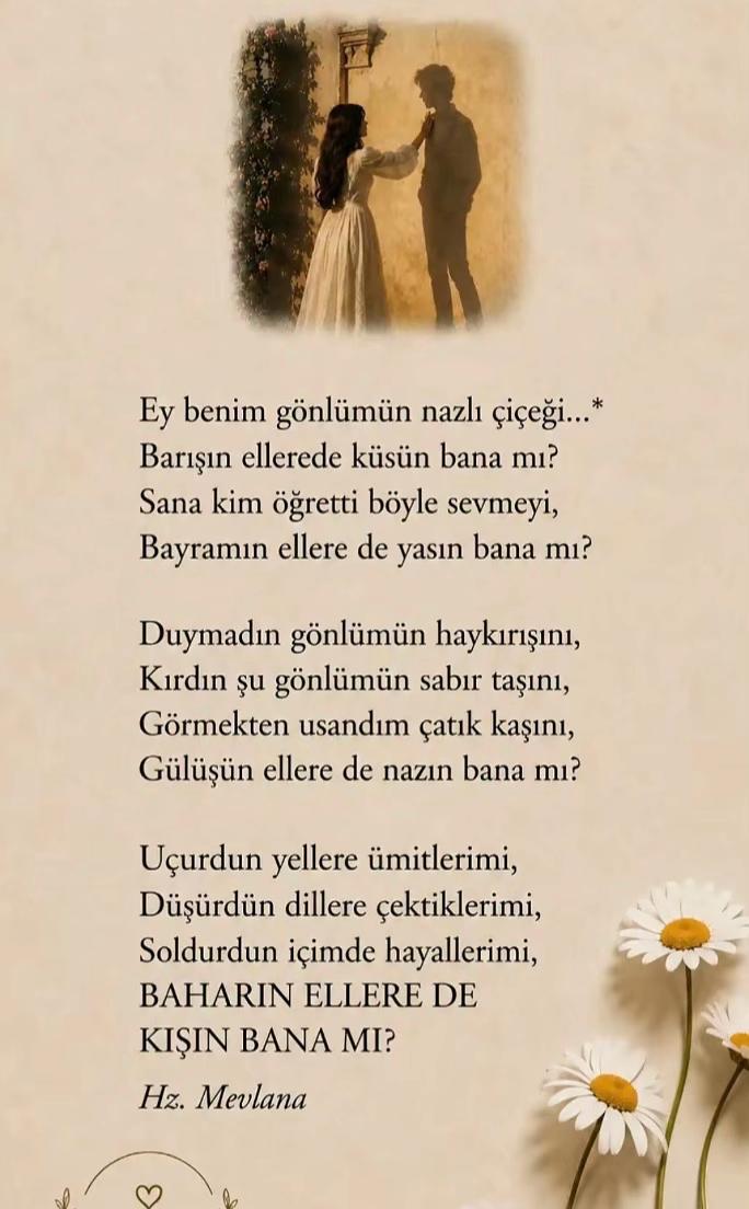 @Hayat_kry_63