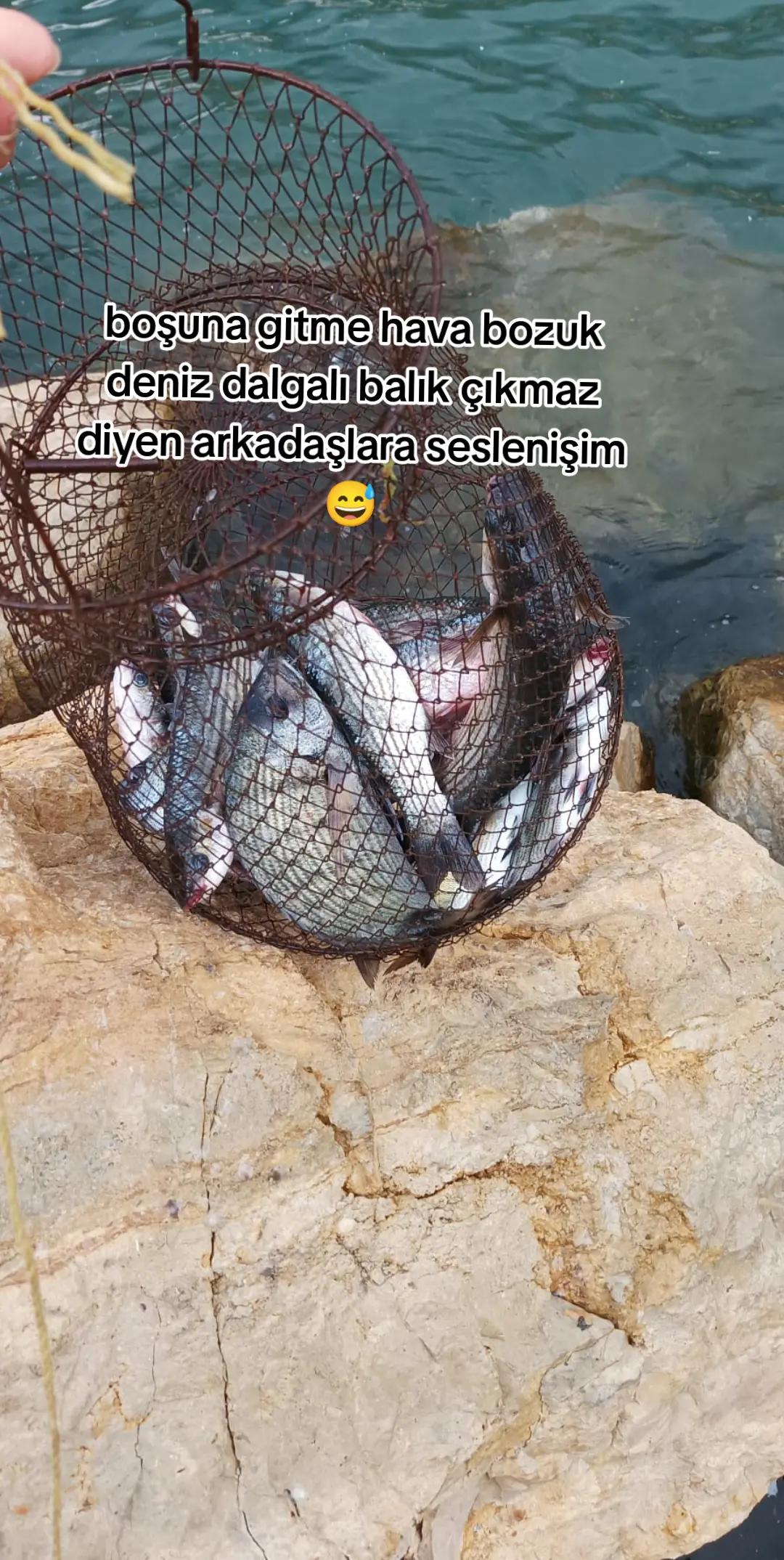 @Özçelik 31