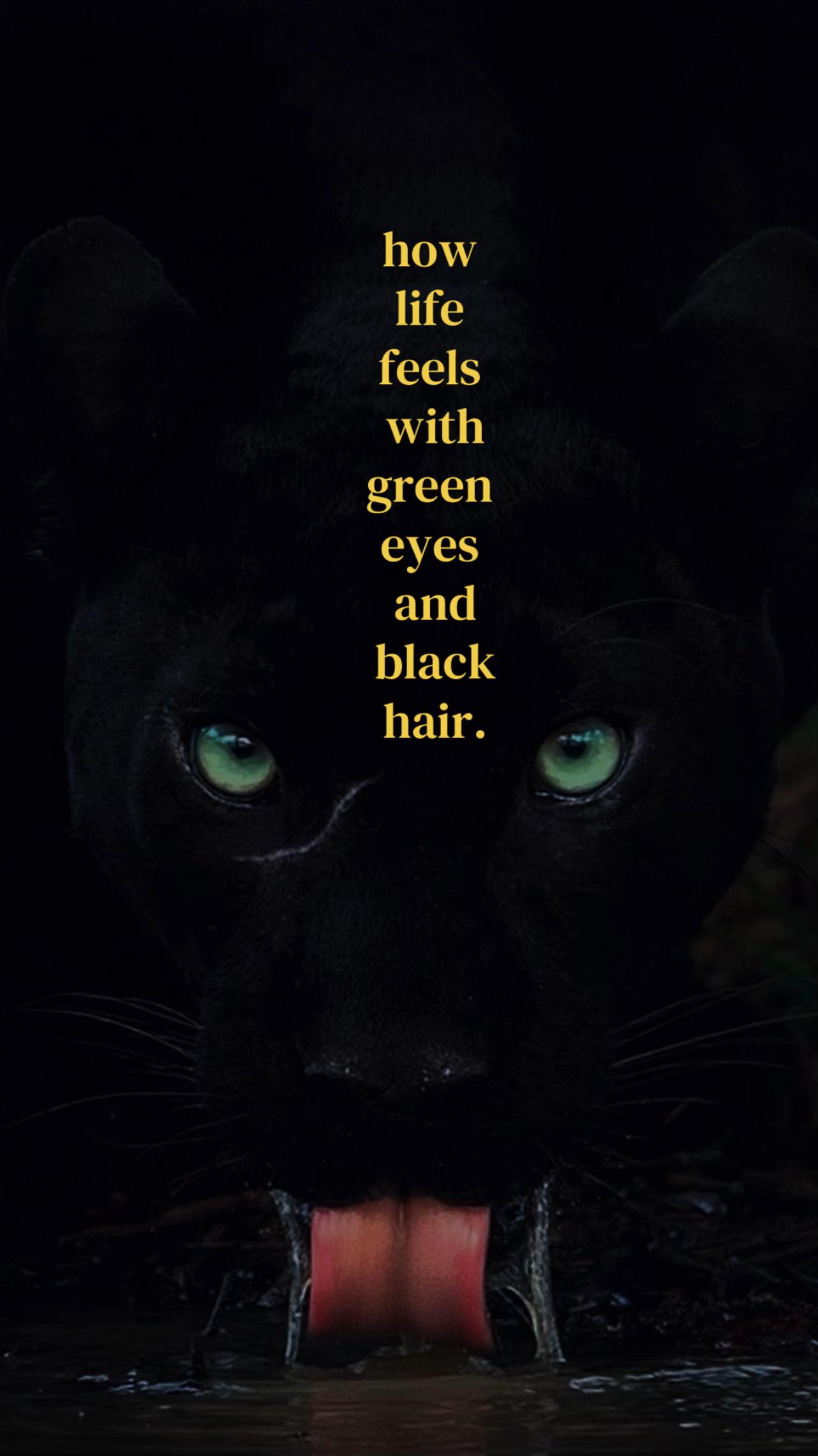 @𝑫 𝑶 𝑹 𝑶 𝑻 𝑬 𝑨🦌