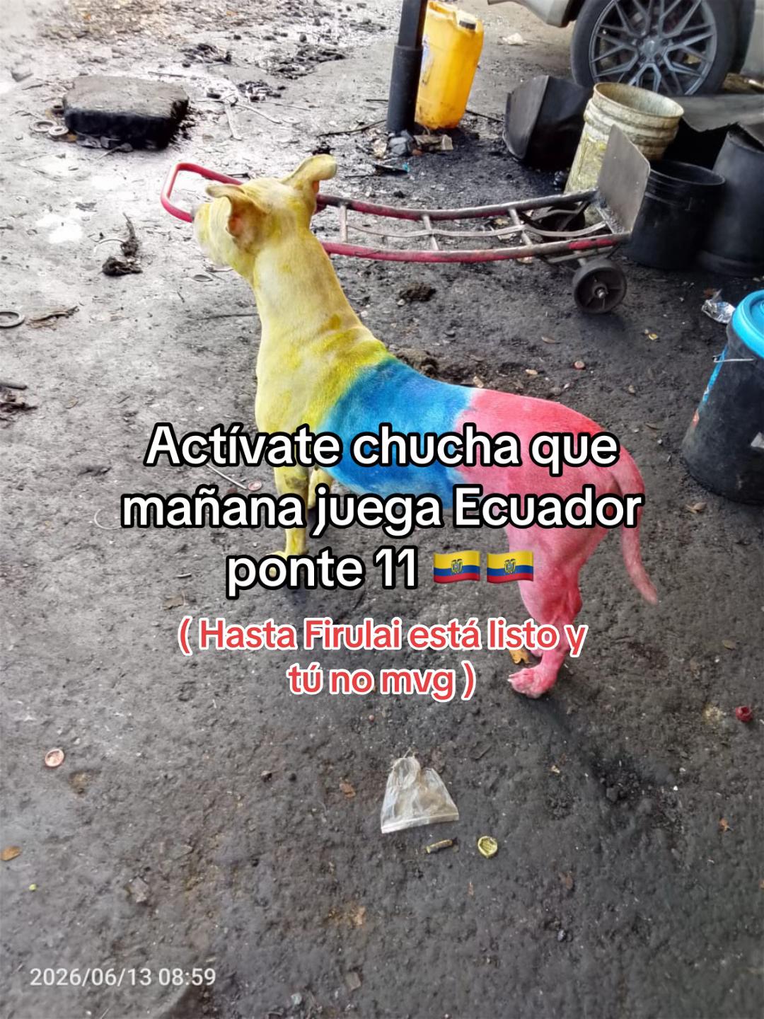 @soy maicol