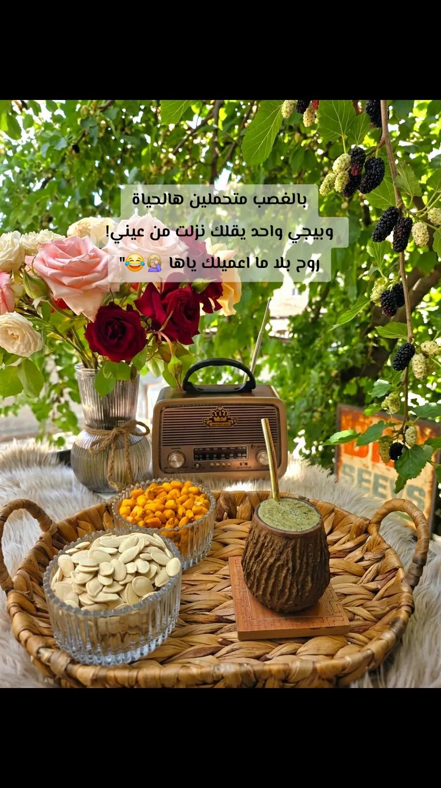 @🎀ام حمودي🎀