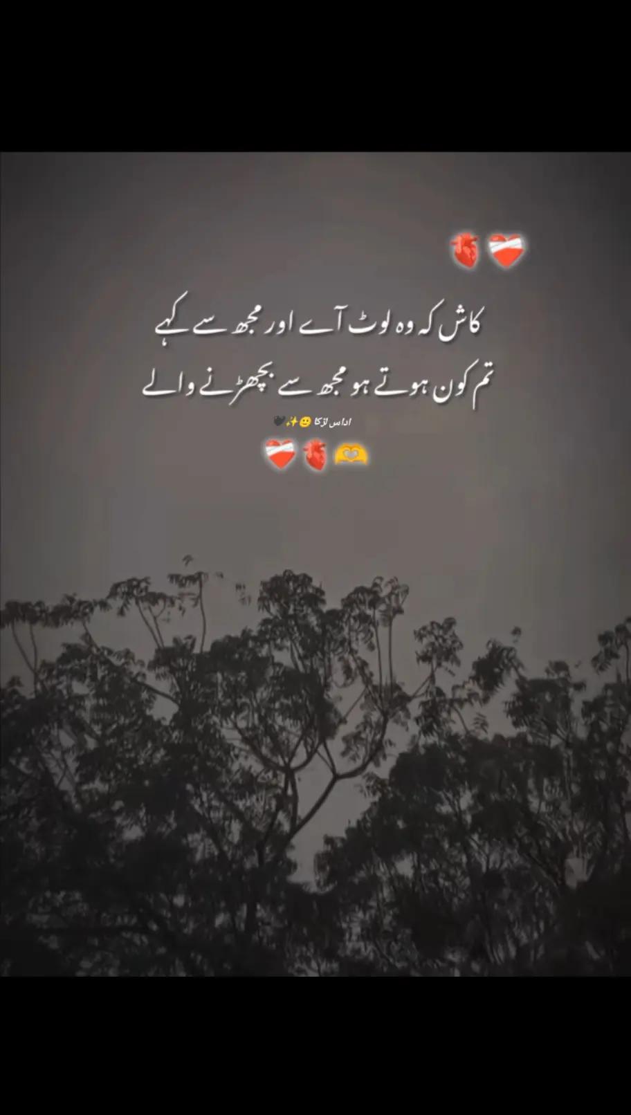 @اداس لڑکا 🙂✨🖤