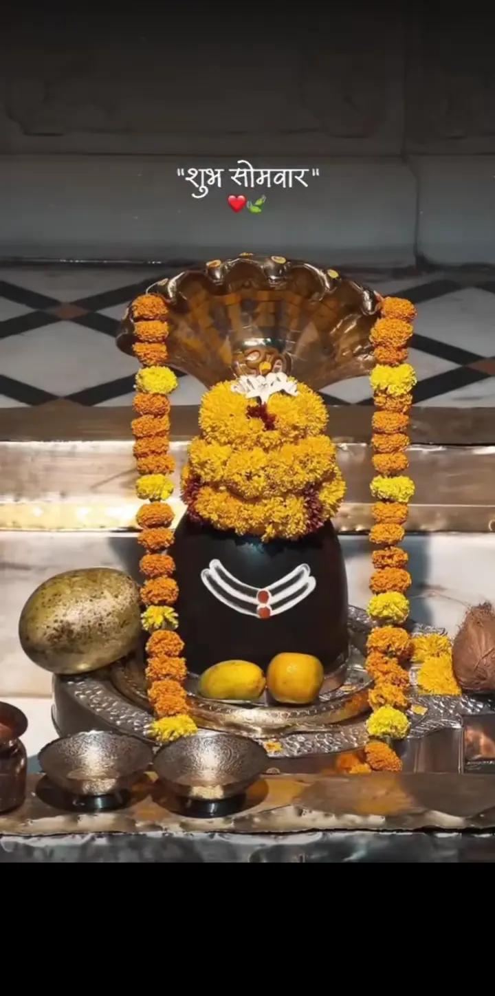 @Raja🫶Sanjita