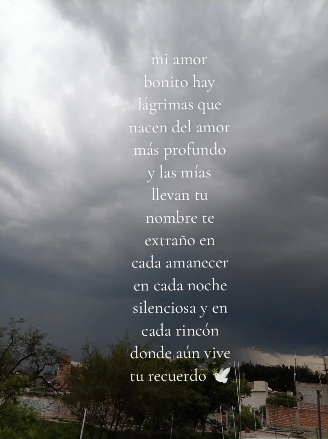 @Lu Jara