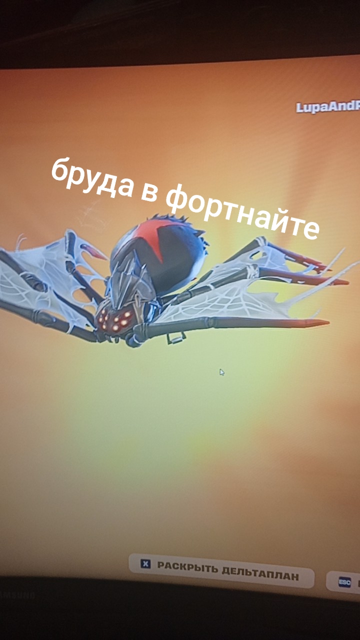 @Stay Hard 141