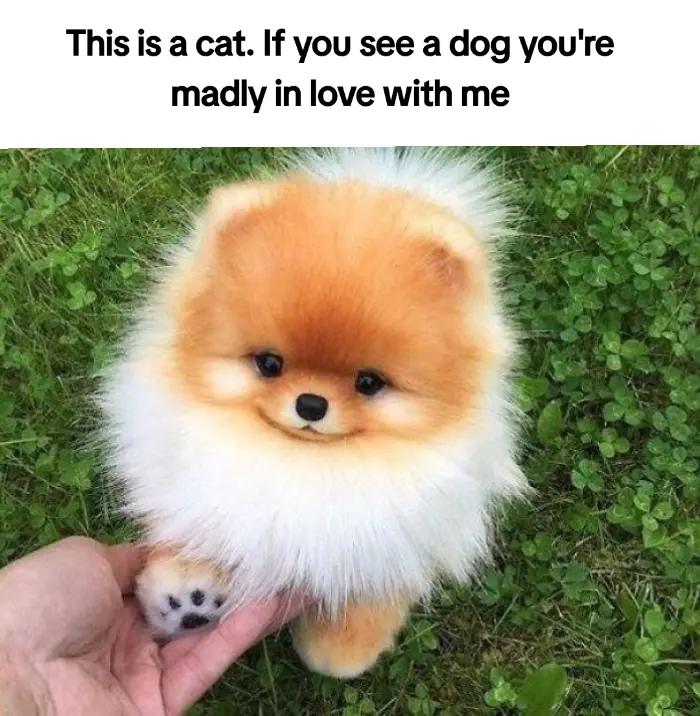 @CaityFairy<3
