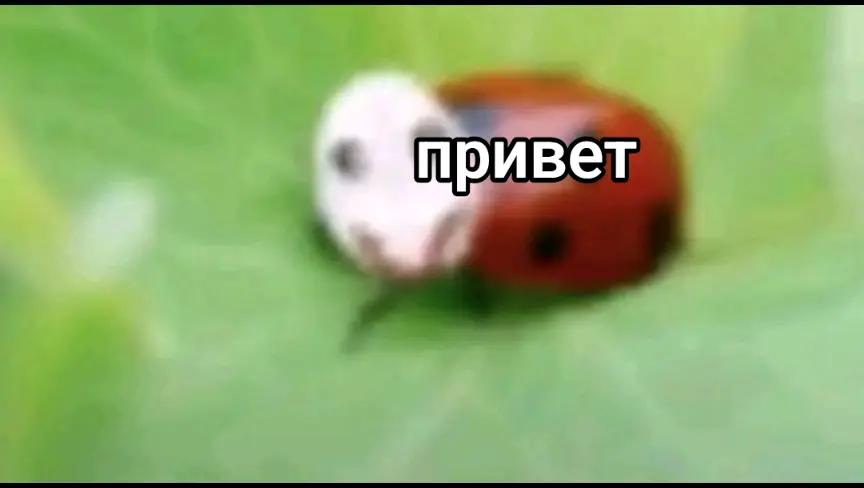 @curednotion