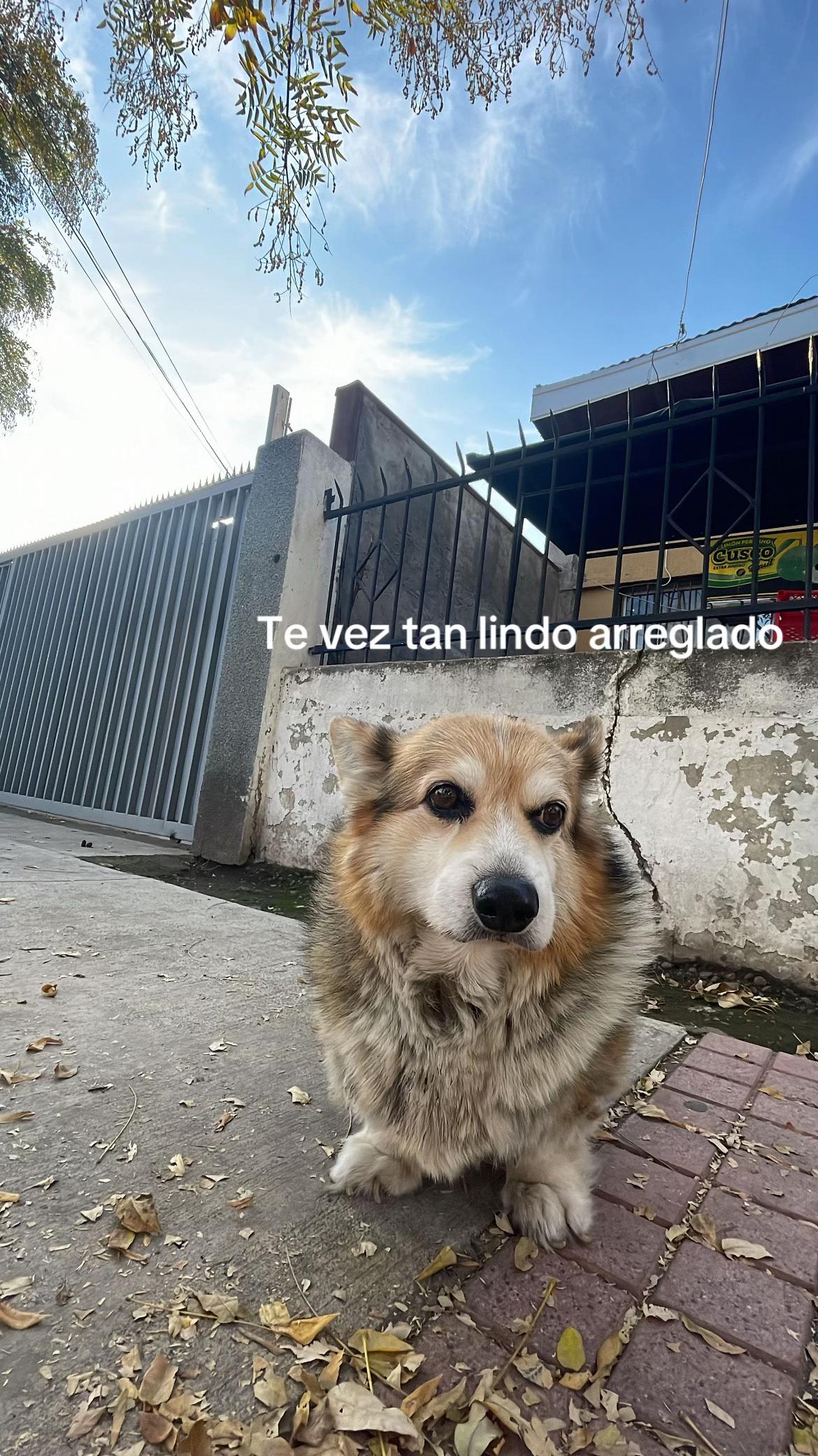 @Domingo