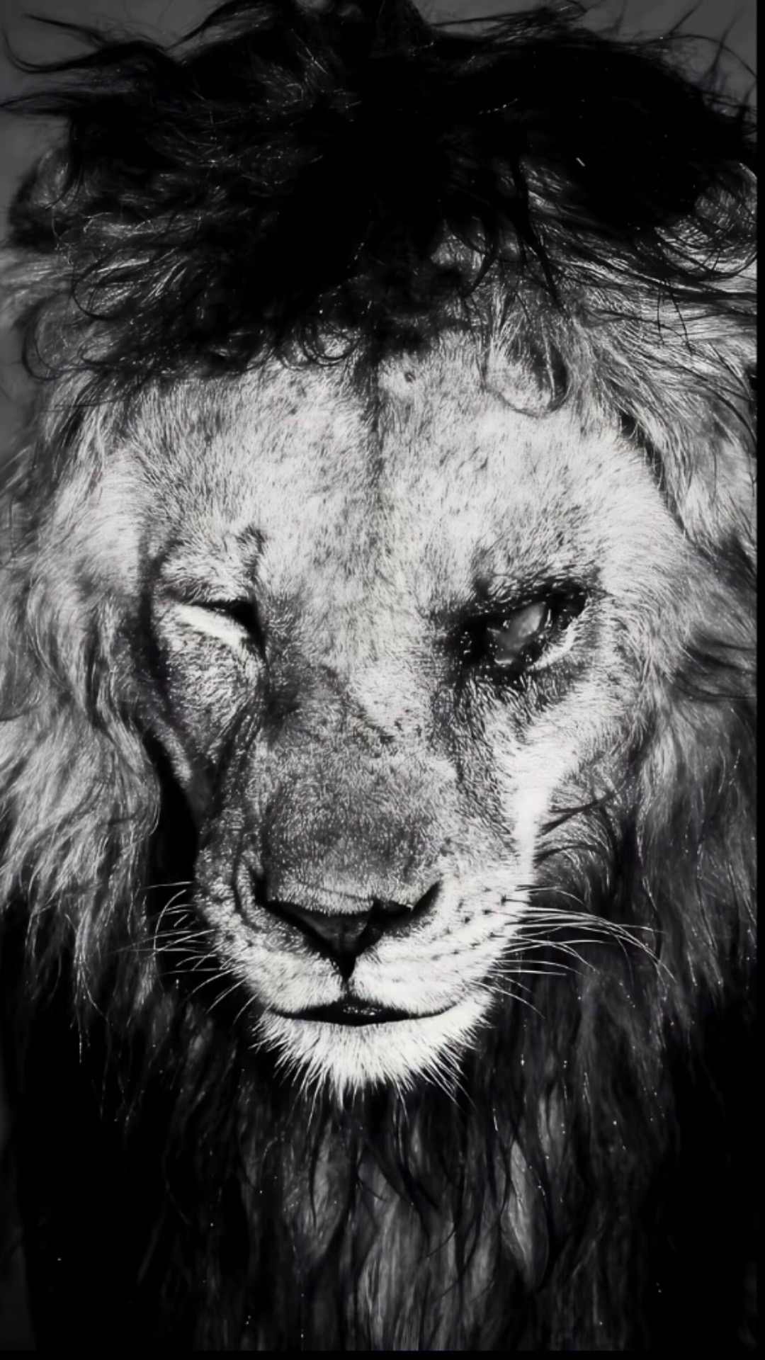 @كريم عسليه🦅🤙
