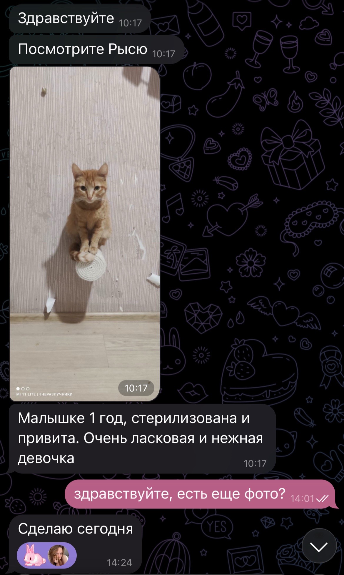 @тгк: верош ты чё 🧘🏻&zwj;♀️