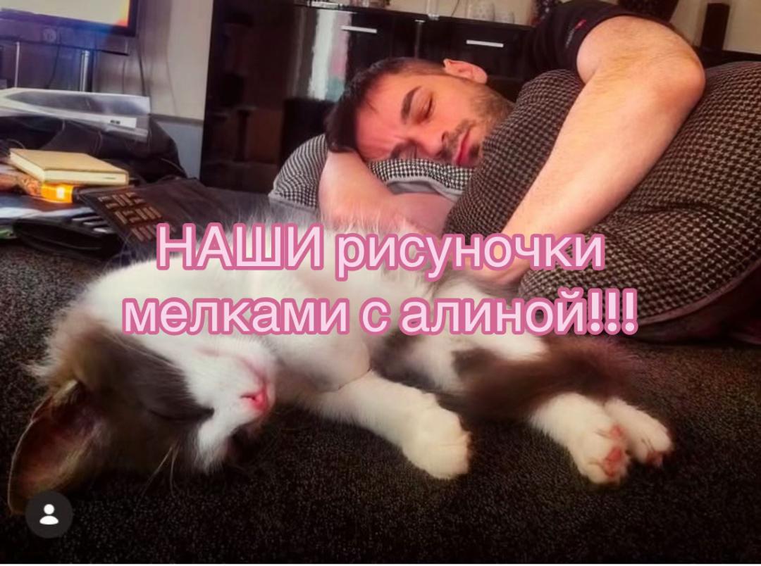 @тетомиу🦑🐇