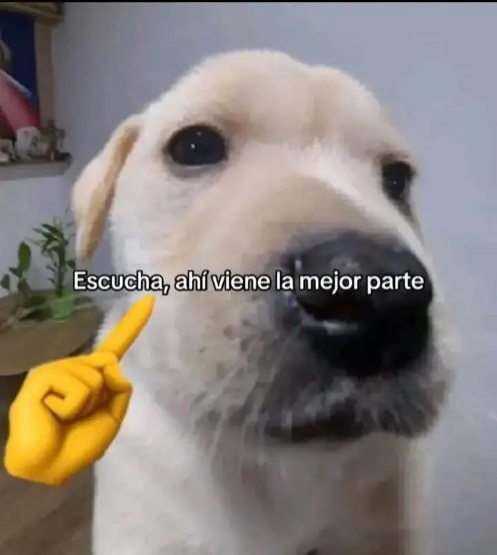 @ElRex