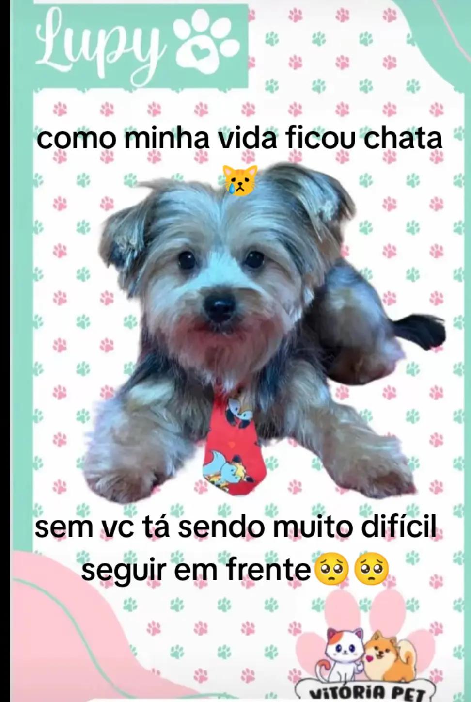 @💫bella🌸