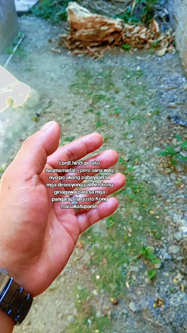 @Mr.Yozo |tiktokshop|